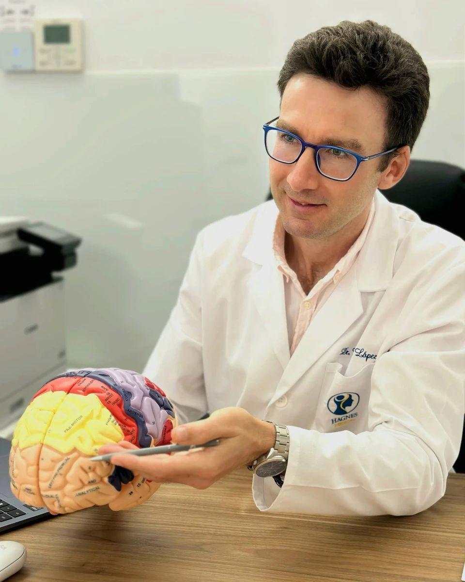 El Dr. Federico López señala sobre un modelo anatómico las zonas cerebrales que estimula la EMT